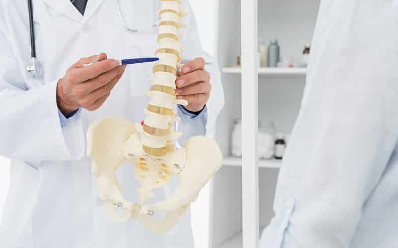chiro doctor pointing to spine model